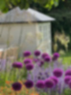 Northants village garden