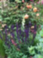 Lincolnshire country garden