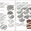 Thumbnail: Guide to German Dog Tags