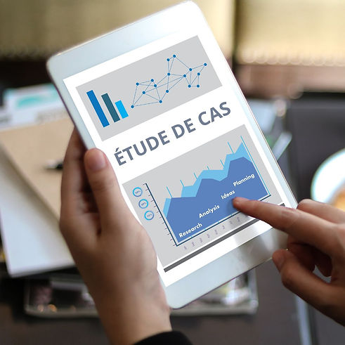 CAS PRATIQUE SERENDIPIA CONSEIL.jpg