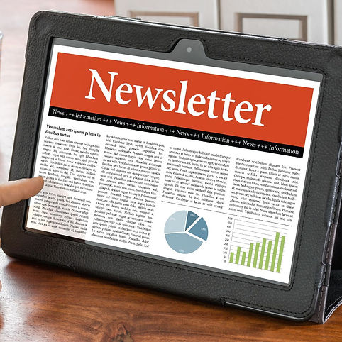 newsletter serendipia conseil.jpg