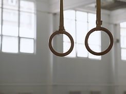 Anneaux de gymnastique