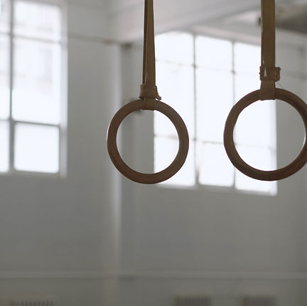 Gymnastic Rings