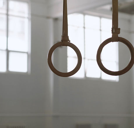 Gymnastic Rings