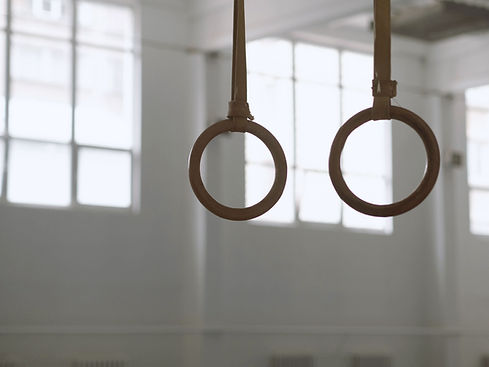 Anneaux de gymnastique