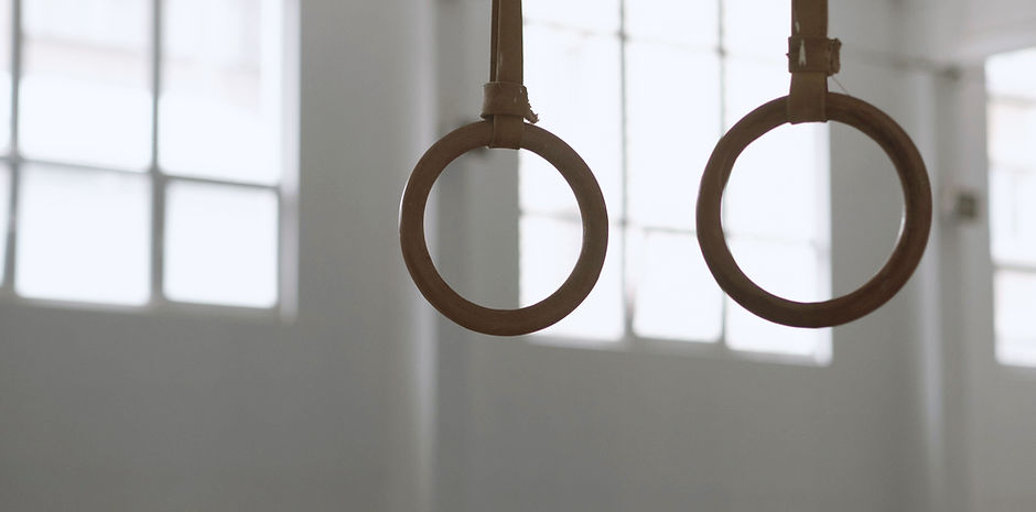 Gymnastic Rings
