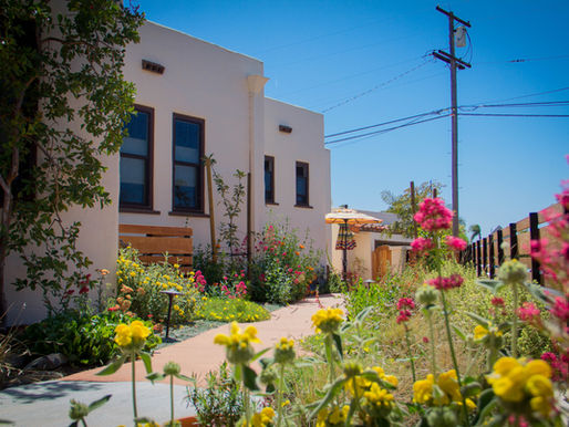 North Park Yard Goes Native - Revolution Featured in the UT!