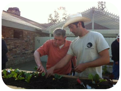 The TERI Inc. Urban Farm