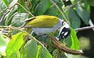 Picture2.jpg
