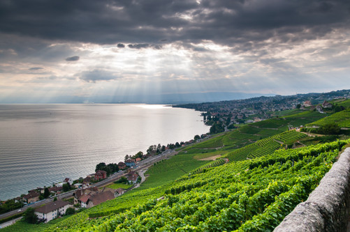 Lavaux-general-2012-NL(c)GregoireChappui