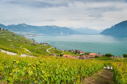 Lavaux-Rivaz-2012-NL(c)GregoireChappuis_