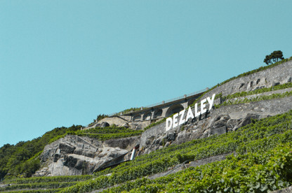 Dezaley_(c)JuliaTames.JPEG