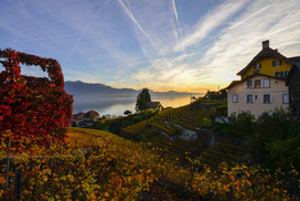 Automne2017 (c) MaudeRion-70.JPEG