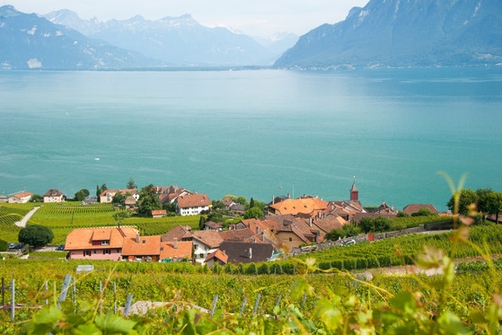 Lavaux-Rivaz-2012-NL(c)GregoireChappuis_