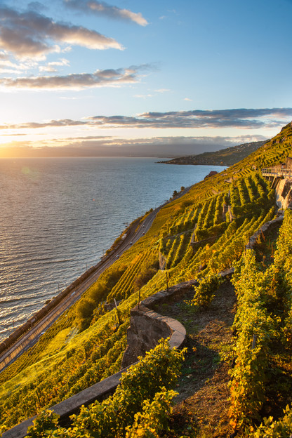 Lavaux-Dezaley-2012-NL(c)GregoireChappui