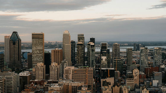 pexels-matreding-33825329.jpg