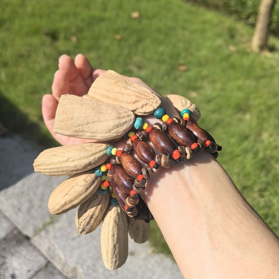 Thumbnail: Kaka Lingxi Seed Pod Shell Bracelet • Sound Healing Instrument