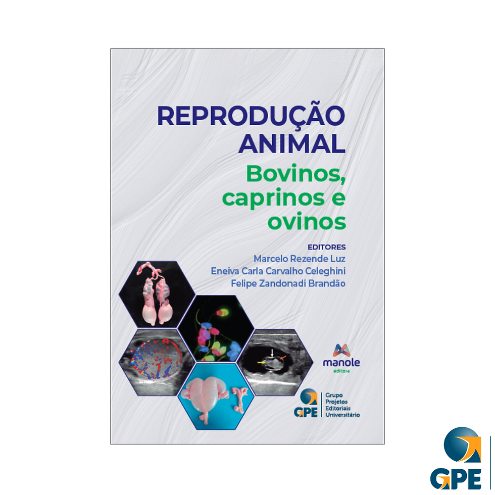 Miniatura: KIT VETERINÁRIA GRANDE PORTE