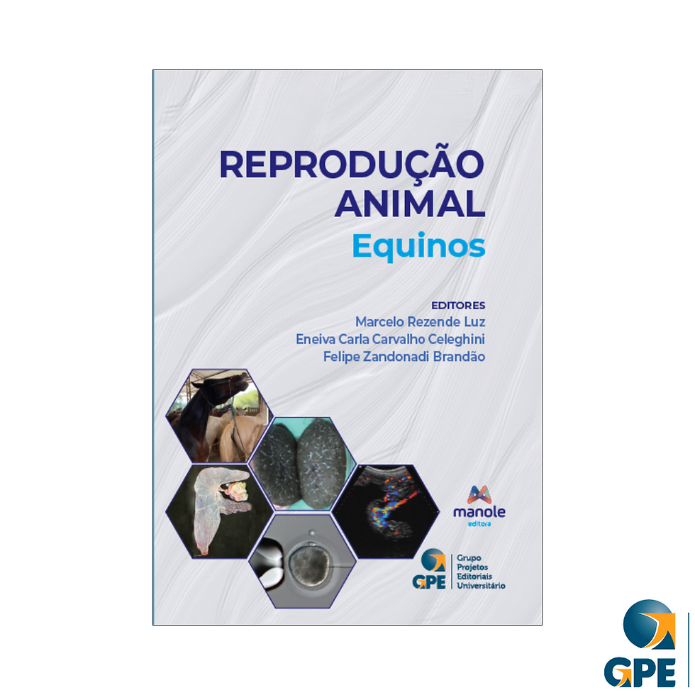 Miniatura: KIT VETERINÁRIA GRANDE PORTE