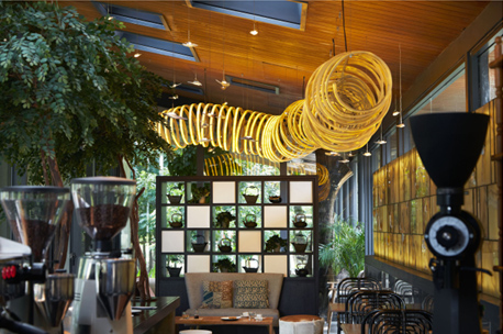 Mari Kita Dukung untuk Membawa Indonesia ke Kancah Dunia