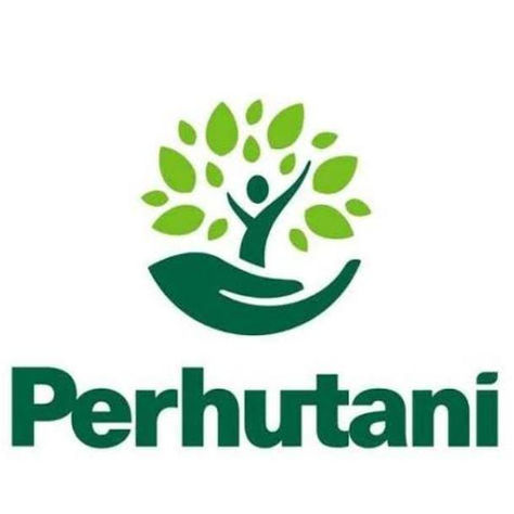 Perhutani Perlu Beri Pelatihan Masyarakat Ubah Eceng Gondok di Waduk Carita Jadi Kerajinan Tangan