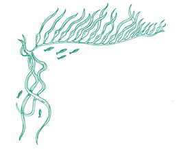Drolls from rthe deep weed.png