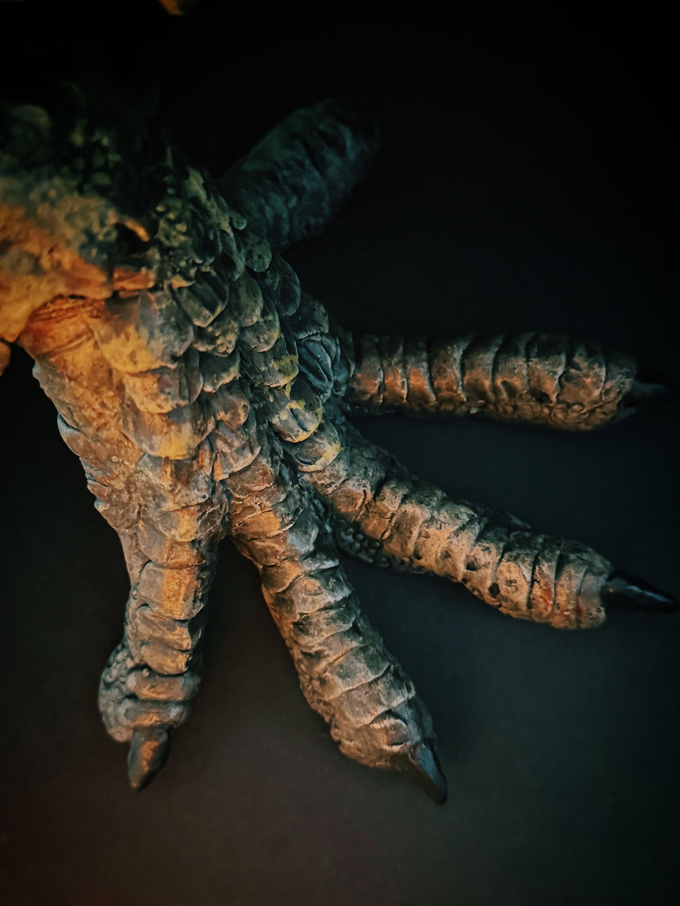 Cornish Dragon Folklore