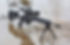 Thumbnail: Tikka T3x Tac-A1