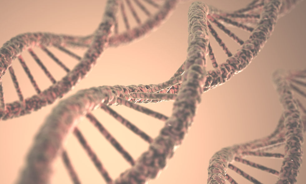 dna-structure-2023-11-27-04-52-24-utc.jpg