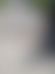 Walking Your Pets: Can You Train Your Cat to Join?