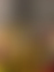 Disney Dreams: Judy’s Magical Experiences and Mementoes