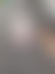 "Catch 'Em All”: Judy’s Pokémon Adventures from the word “Go”