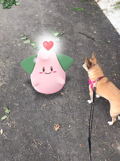 "Catch 'Em All”: Judy’s Pokémon Adventures from the word “Go”