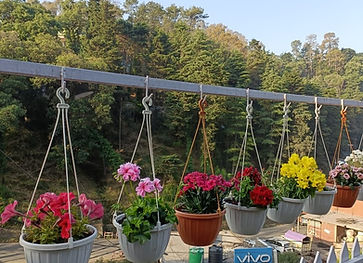Mohraj home stay Photo