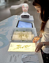Picture8.jpg