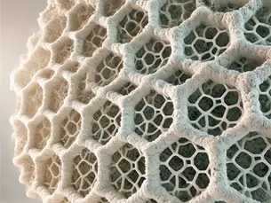 Zeolite Benefits: How It Transformed My Fasting Journey