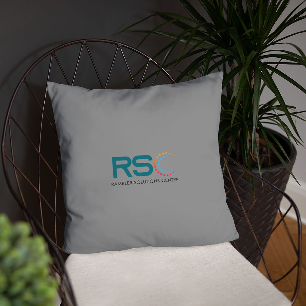 Thumbnail: Basic Pillow