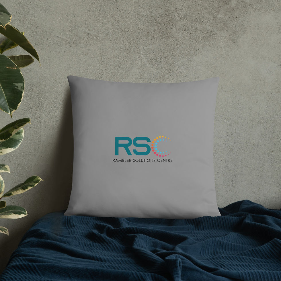 Thumbnail: Basic Pillow