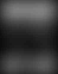 Scene Studies (2025)