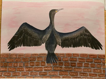 Existence and Cormorants
