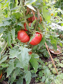 20230918_105000.jpg