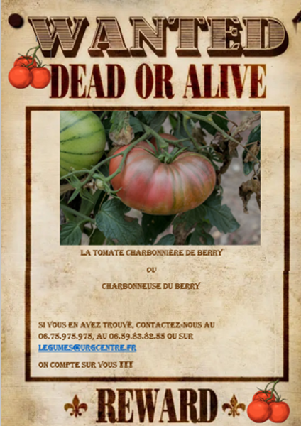 affiche.png