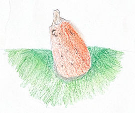 Sucrette V Rencontres Dessins-1-3-2_page-0001.jpg