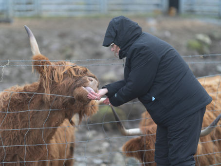 Still Just Can't Help Ourselves! 26th Jan