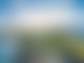 New Years and Wedding Eve 31st Dec 2019