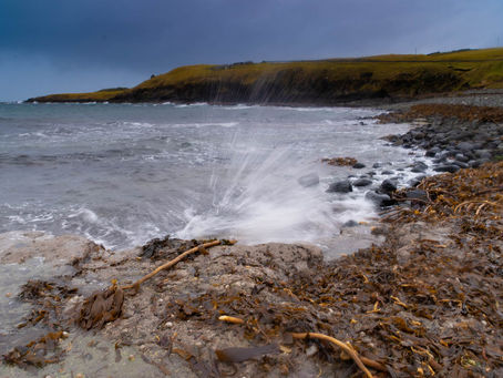 Score Bay Dinosaur Hunt 5th Feb