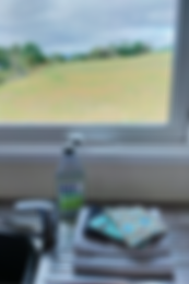 Ecover products and washable sponges