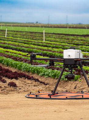 The IF800 Tomcat equipped with the Sentera 6X Multispectral sensor preparing to take off on its autonomous mission