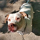 20250524_103115_edited.jpg