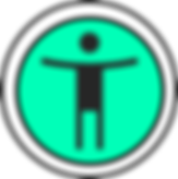 accessibility icon